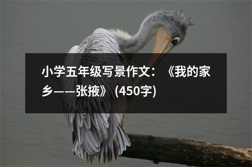 小學(xué)五年級寫景作文：《我的家鄉(xiāng)——張掖》 (450字)