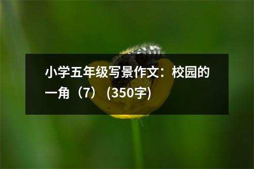 小學(xué)五年級(jí)寫(xiě)景作文：校園的一角（7） (350字)