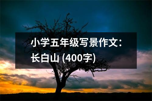 小學(xué)五年級(jí)寫(xiě)景作文：長(zhǎng)白山 (400字)