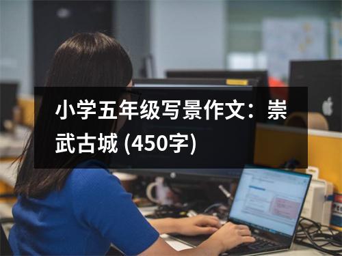 小學(xué)五年級(jí)寫景作文：崇武古城 (450字)