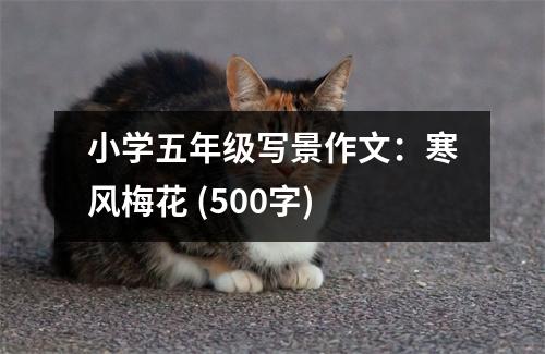 小學(xué)五年級寫景作文：寒風(fēng)梅花 (500字)