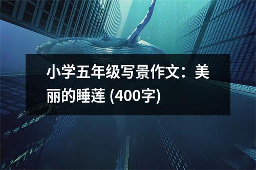 小學(xué)五年級(jí)寫(xiě)景作文：美麗的睡蓮 (400字)