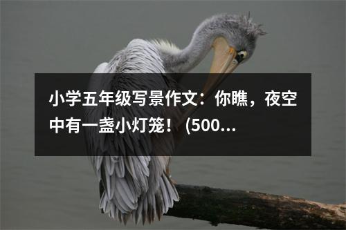 小學五年級寫景作文：你瞧，夜空中有一盞小燈籠！ (500字)