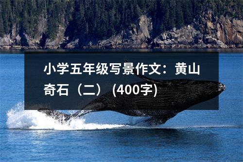 小學(xué)五年級(jí)寫(xiě)景作文：黃山奇石（二） (400字)
