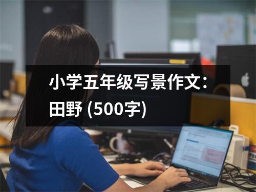 小學(xué)五年級(jí)寫景作文：田野 (500字)