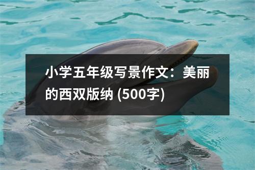 小學五年級寫景作文：美麗的西雙版納 (500字)