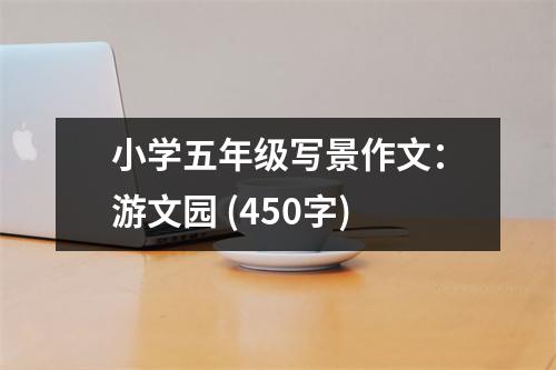 小學(xué)五年級(jí)寫景作文：游文園 (450字)