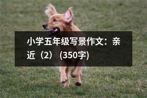 小學(xué)五年級(jí)寫(xiě)景作文：親近（2） (350字)