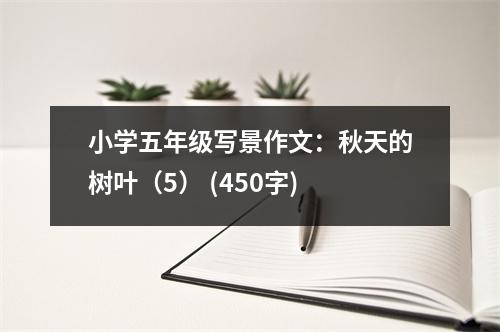 小學(xué)五年級寫景作文：秋天的樹葉（5） (450字)