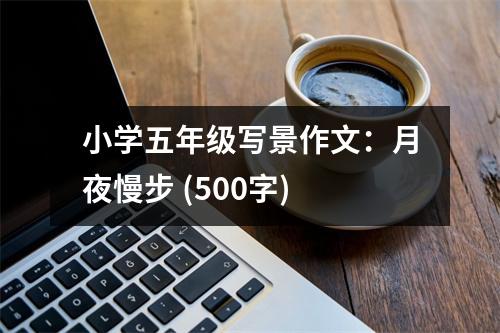 小學(xué)五年級寫景作文：月夜慢步 (500字)