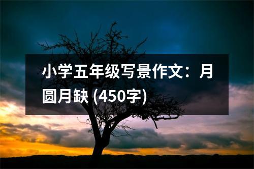 小學(xué)五年級(jí)寫景作文：月圓月缺 (450字)