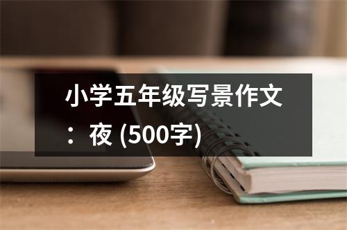 小學(xué)五年級(jí)寫景作文：夜 (500字)