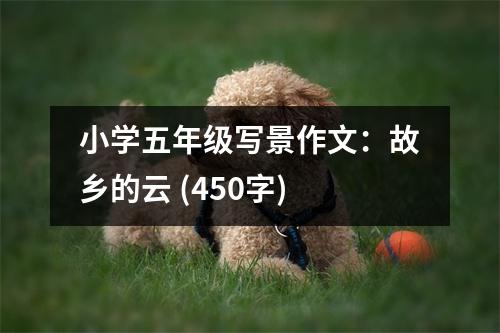 小學(xué)五年級(jí)寫景作文：故鄉(xiāng)的云 (450字)