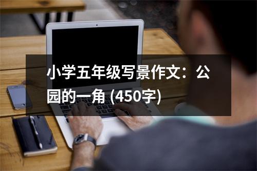 小學(xué)五年級(jí)寫景作文：公園的一角 (450字)