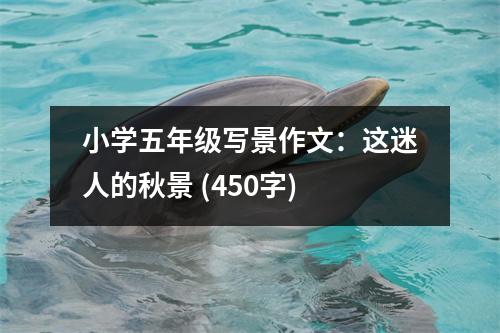 小學(xué)五年級(jí)寫景作文：這迷人的秋景 (450字)