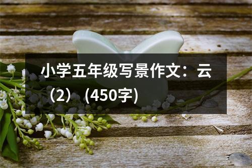 小學(xué)五年級(jí)寫(xiě)景作文：云（2） (450字)