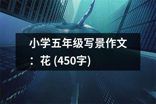 小學(xué)五年級(jí)寫景作文：花 (450字)