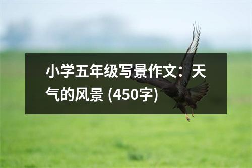 小學(xué)五年級(jí)寫(xiě)景作文：天氣的風(fēng)景 (450字)