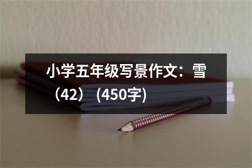 小學(xué)五年級(jí)寫(xiě)景作文：雪（42） (450字)