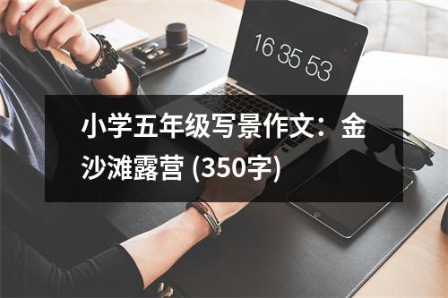 小學(xué)五年級(jí)寫景作文：金沙灘露營 (350字)
