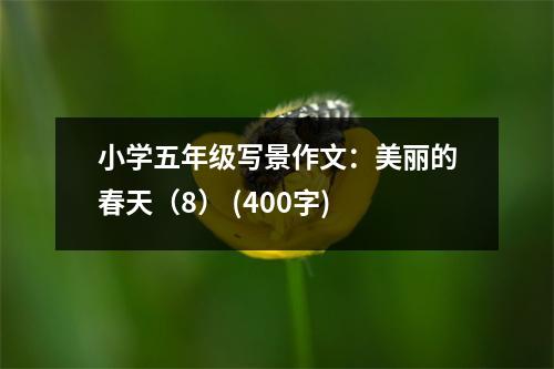 小學(xué)五年級(jí)寫(xiě)景作文：美麗的春天（8） (400字)