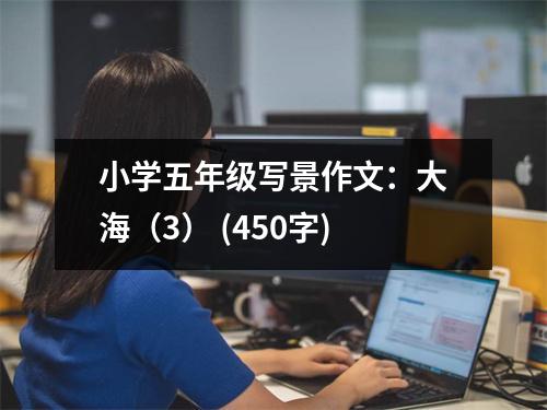 小學(xué)五年級寫景作文：大海（3） (450字)