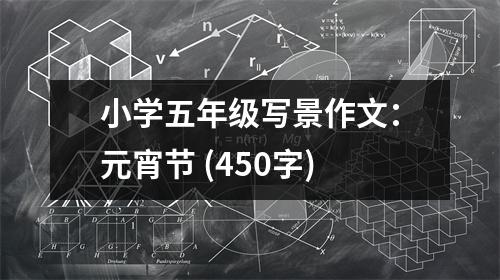 小學(xué)五年級寫景作文：元宵節(jié) (450字)