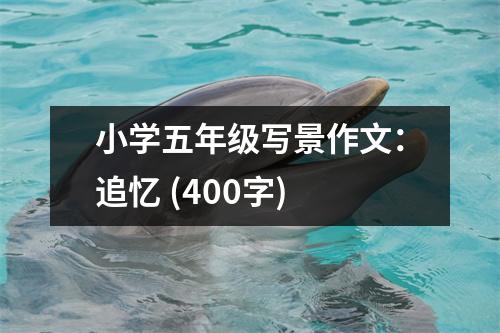 小學(xué)五年級寫景作文：追憶 (400字)