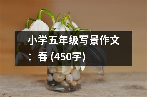 小學五年級寫景作文：春 (450字)