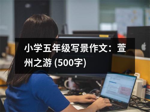 小學(xué)五年級寫景作文：萱州之游 (500字)