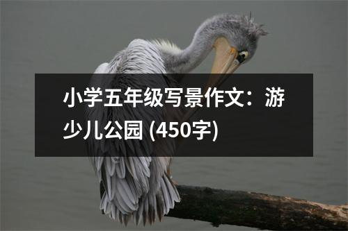小學(xué)五年級(jí)寫景作文：游少兒公園 (450字)