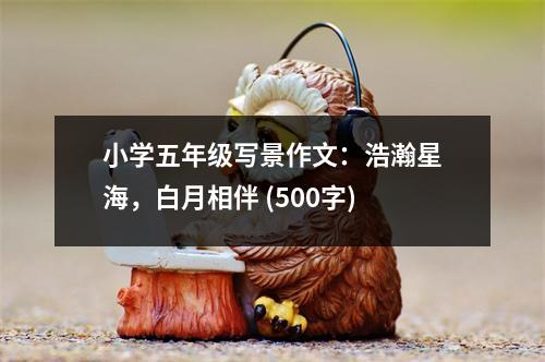 小學五年級寫景作文：浩瀚星海，白月相伴 (500字)