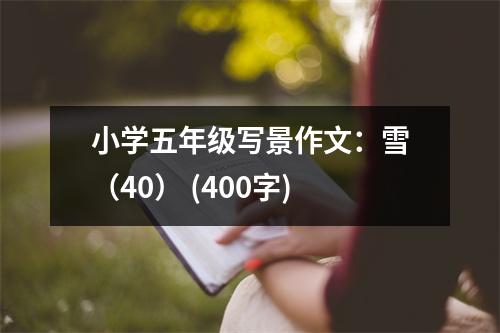 小學五年級寫景作文：雪（40） (400字)