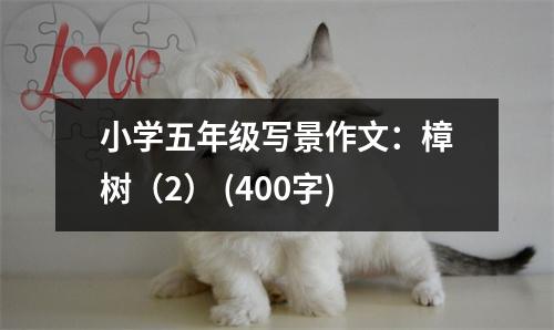 小學(xué)五年級(jí)寫(xiě)景作文：樟樹(shù)（2） (400字)