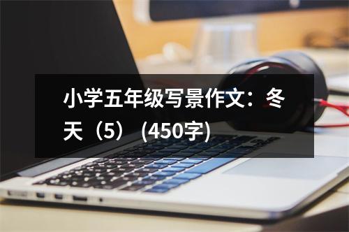 小學(xué)五年級寫景作文：冬天（5） (450字)