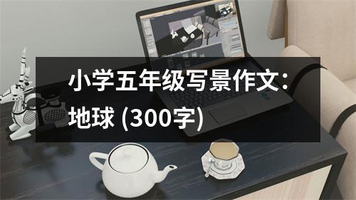 小學(xué)五年級寫景作文：地球 (300字)