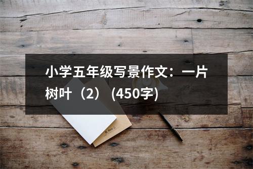 小學(xué)五年級(jí)寫(xiě)景作文：一片樹(shù)葉（2） (450字)