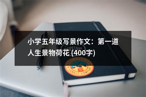 小學(xué)五年級(jí)寫景作文：第一道人生景物荷花 (400字)