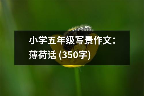 小學(xué)五年級(jí)寫(xiě)景作文：薄荷話(huà) (350字)