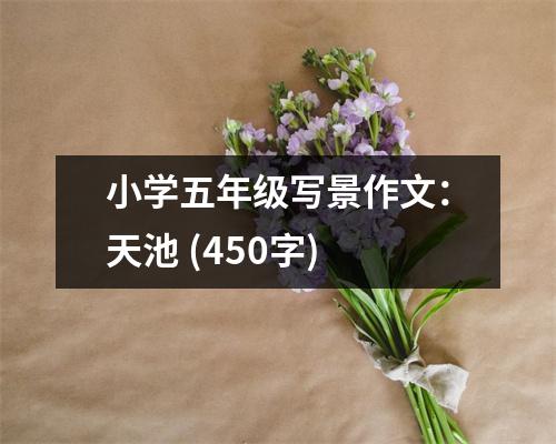 小學(xué)五年級(jí)寫(xiě)景作文：天池 (450字)