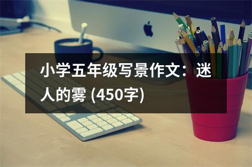小學(xué)五年級(jí)寫(xiě)景作文：迷人的霧 (450字)
