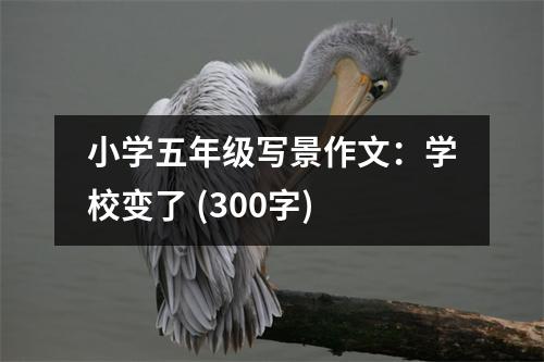 小學(xué)五年級(jí)寫(xiě)景作文：學(xué)校變了 (300字)