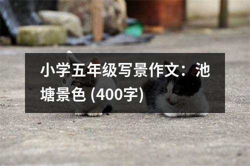 小學(xué)五年級(jí)寫(xiě)景作文：池塘景色 (400字)