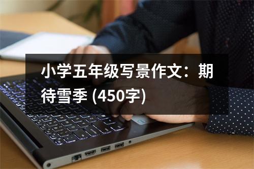 小學(xué)五年級(jí)寫(xiě)景作文：期待雪季 (450字)