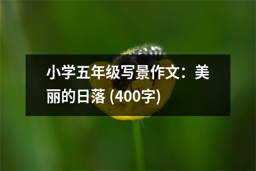 小學(xué)五年級(jí)寫(xiě)景作文：美麗的日落 (400字)