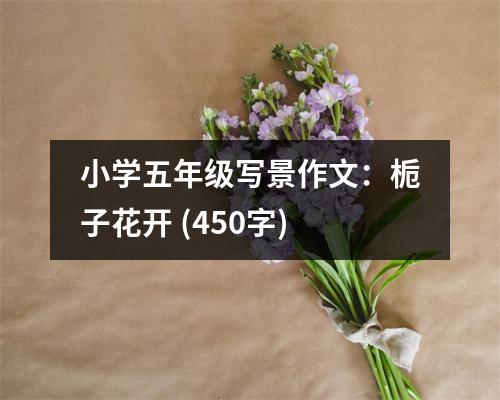 小學五年級寫景作文：梔子花開 (450字)
