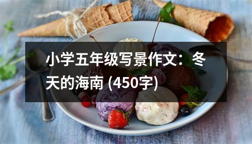 小學(xué)五年級寫景作文：冬天的海南 (450字)