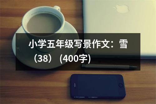 小學(xué)五年級寫景作文：雪（38） (400字)