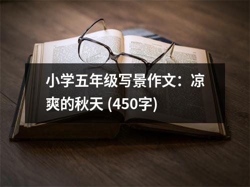 小學(xué)五年級(jí)寫景作文：涼爽的秋天 (450字)