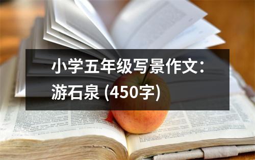 小學(xué)五年級(jí)寫景作文：游石泉 (450字)